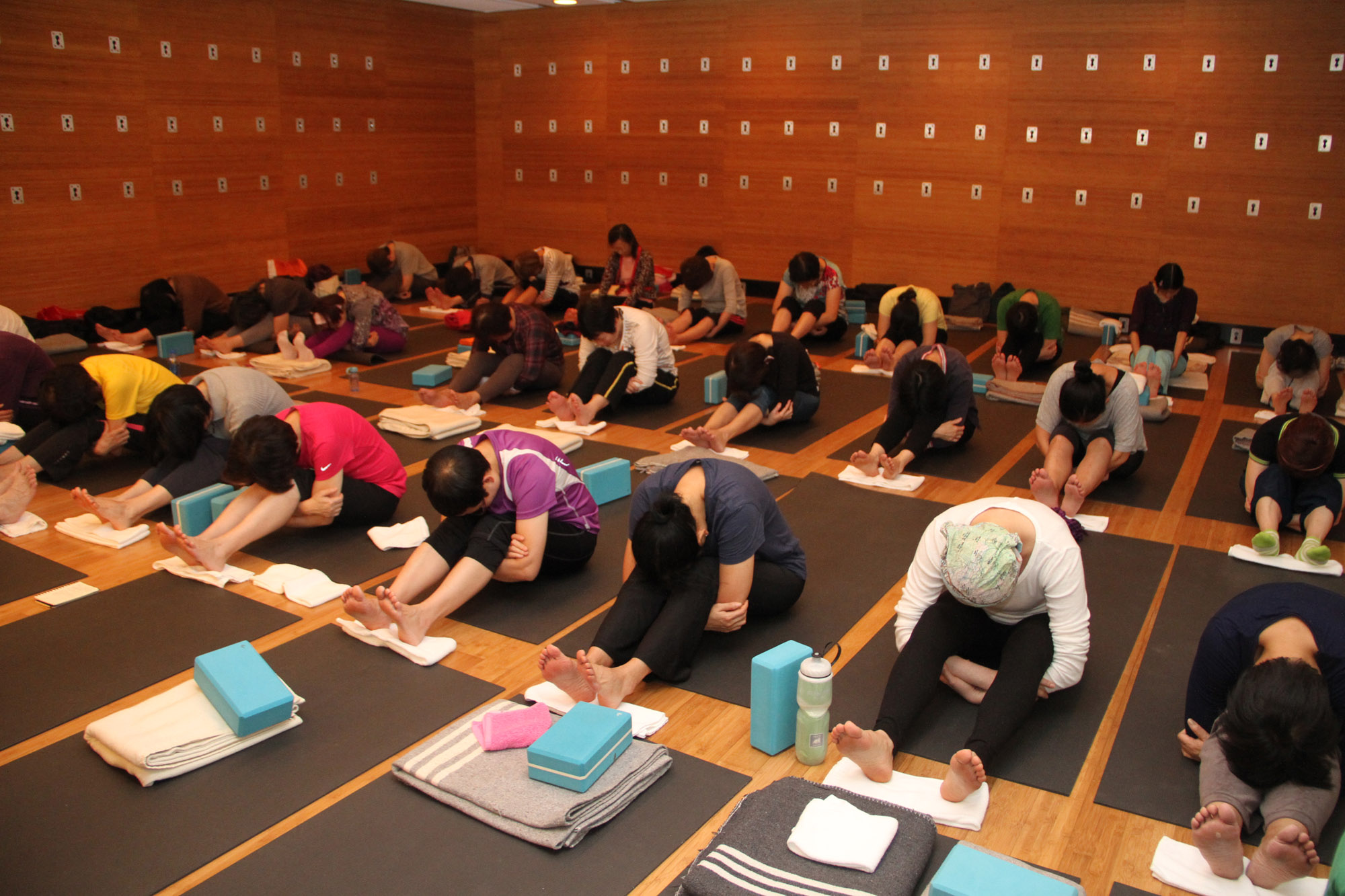 HKCF_ Wellness Programme_B